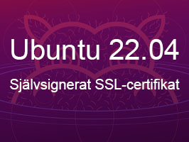 22.04-sjalvsignerat-ssl-ny certifikat